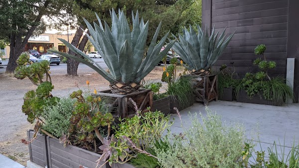 Representative image for Sebastopol, California