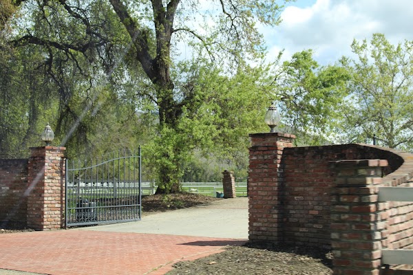 Representative image for Selma, California