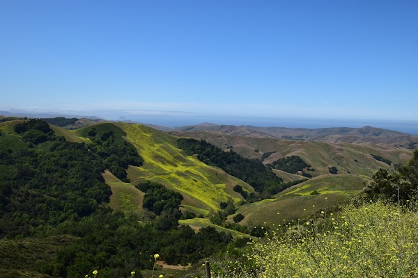 Representative image for Templeton, California
