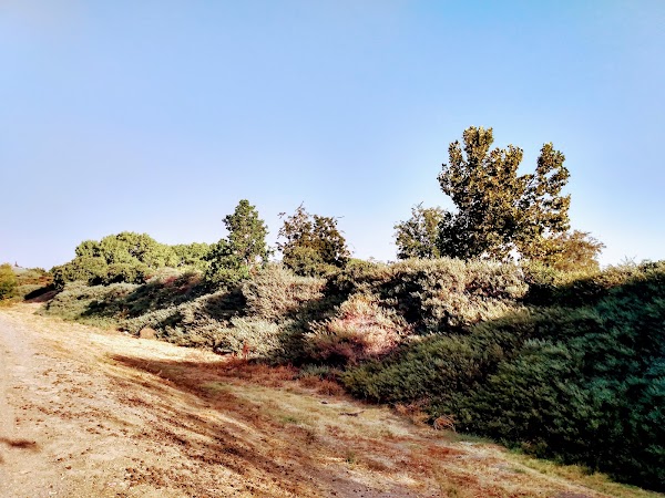 Representative image for Tracy, California