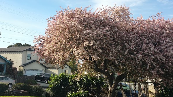 Representative image for Union City, California