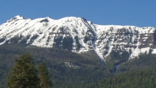 Representative image for Willows, California