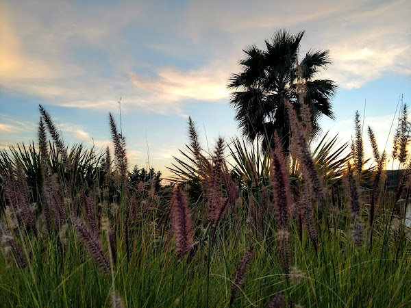 Representative image for Yorba Linda, California