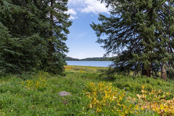 Representative image for Cedaredge, Colorado