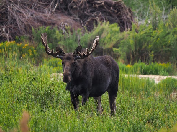 Representative image for Kremmling, Colorado