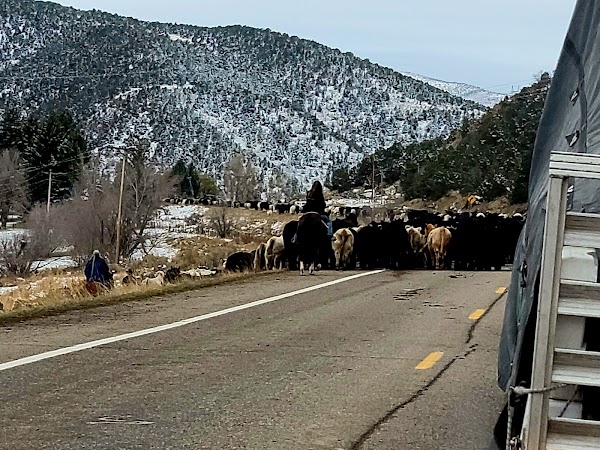 Representative image for Meeker, Colorado