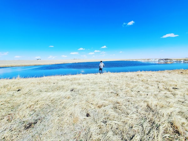 Representative image for Peyton, Colorado
