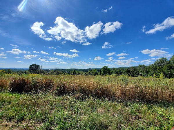 Representative image for Bloomfield, Connecticut