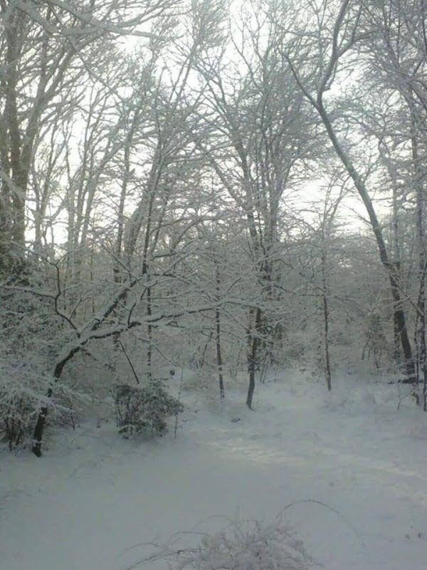Representative image for Gales Ferry, Connecticut