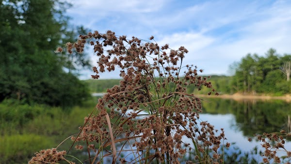 Representative image for Mansfield Center, Connecticut