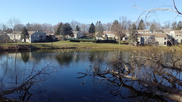 Representative image for Rocky Hill, Connecticut