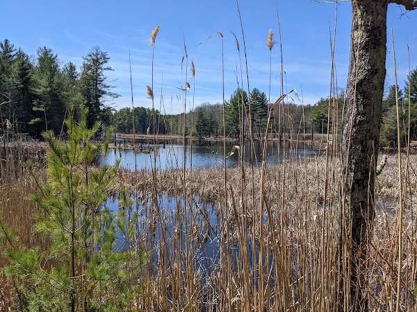 Representative image for Stafford Springs, Connecticut