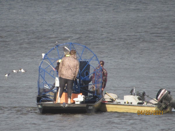 Representative image for Millsboro, Delaware