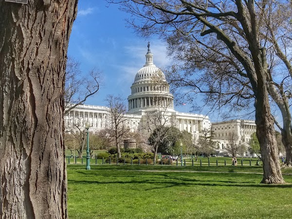 Representative image for District of Columbia