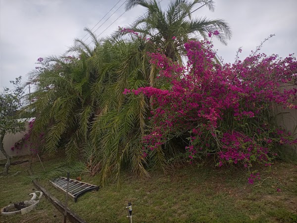 Representative image for Auburndale, Florida