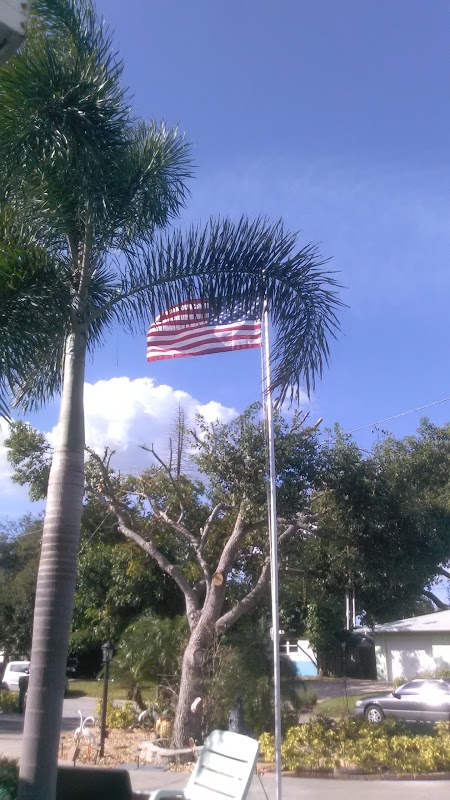Representative image for Bay Pines, Florida