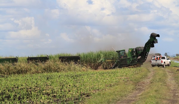 Representative image for Belle Glade, Florida