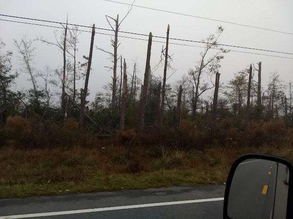 Representative image for Blountstown, Florida