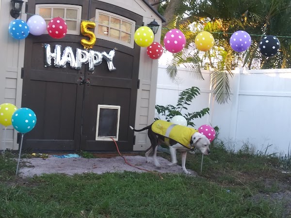 Representative image for Brandon, Florida
