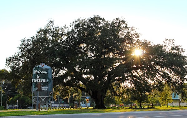 Representative image for Brooksville, Florida