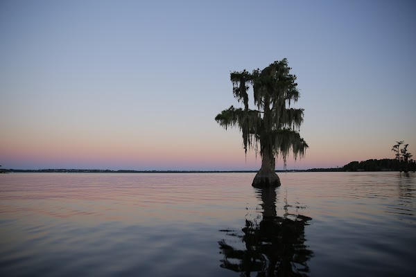 Representative image for Clermont, Florida