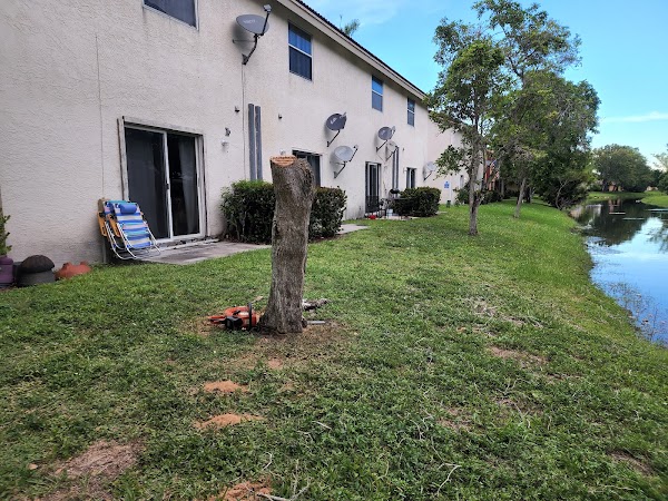 Representative image for Coral Springs, Florida