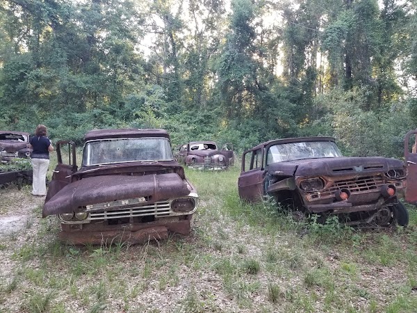 Representative image for Crawfordville, Florida