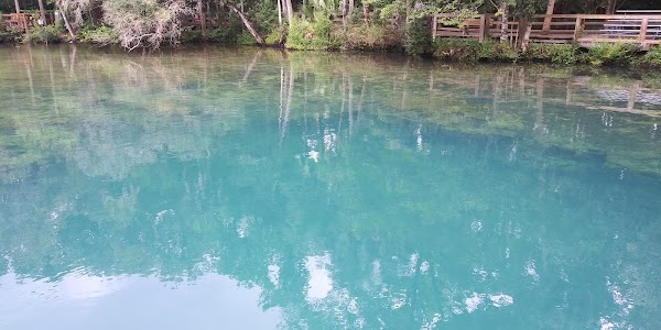 Representative image for Crystal River, Florida