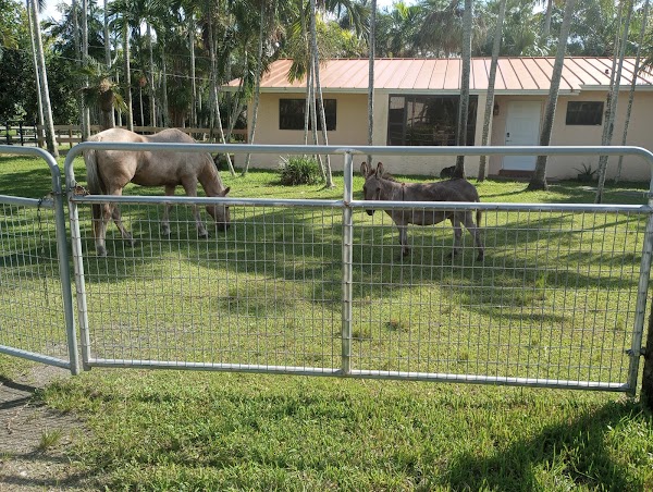 Representative image for Davie, Florida