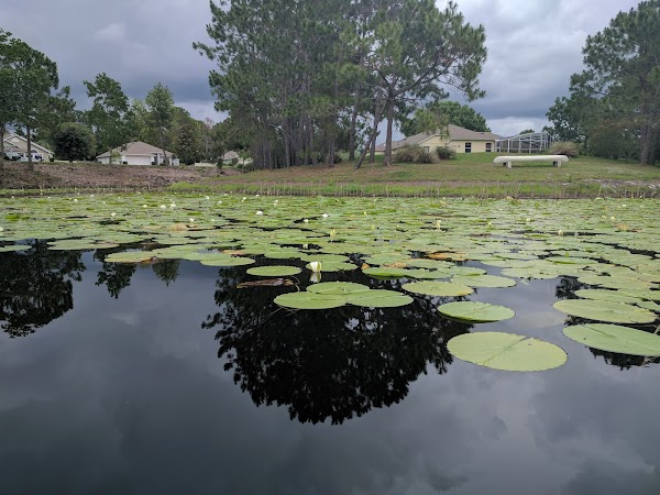 Representative image for Deltona, Florida