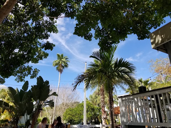 Representative image for Dunedin, Florida