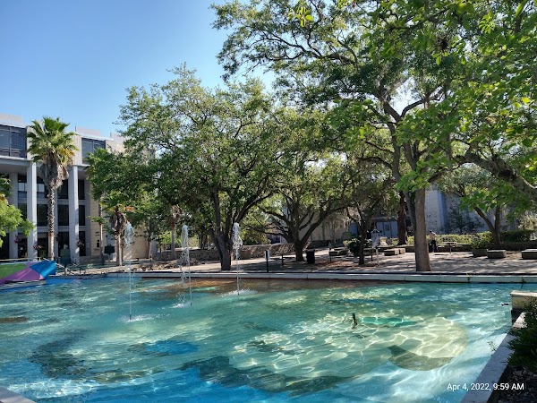 Representative image for Gainesville, Florida