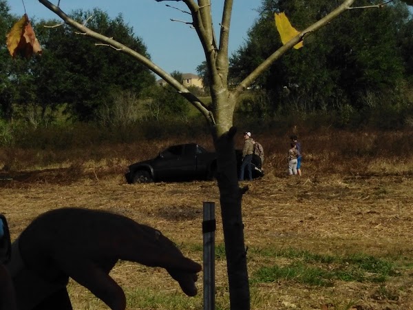Representative image for Groveland, Florida