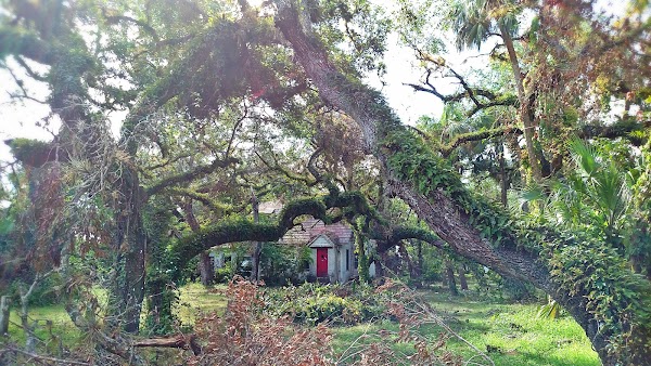 Representative image for Labelle, Florida