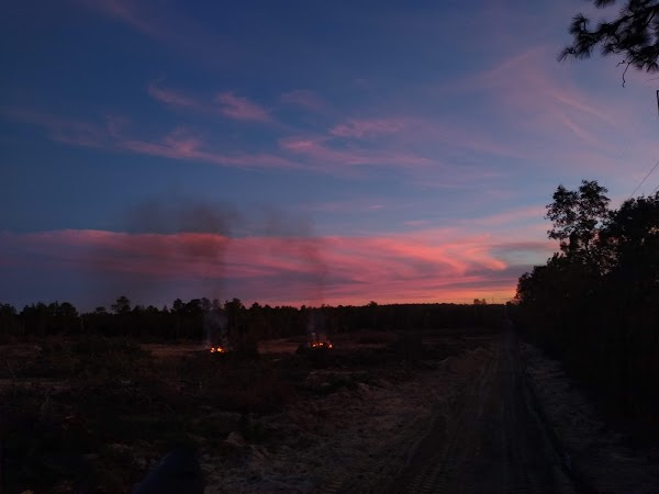 Representative image for Lecanto, Florida