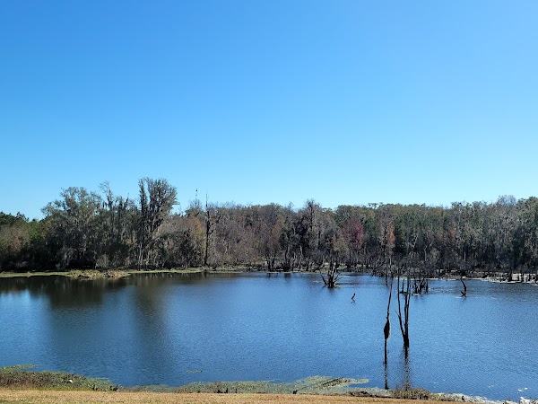 Representative image for Live Oak, Florida