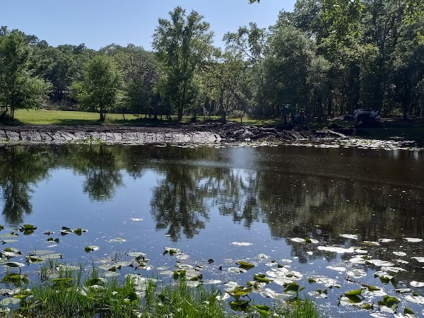Representative image for Lutz, Florida
