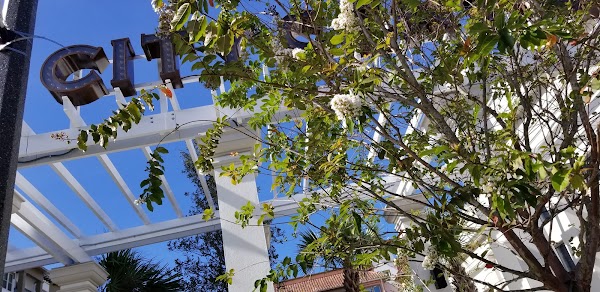 Representative image for Maitland, Florida
