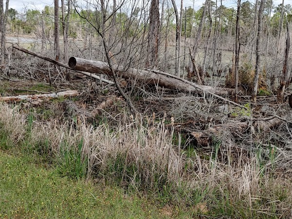 Representative image for Marianna, Florida