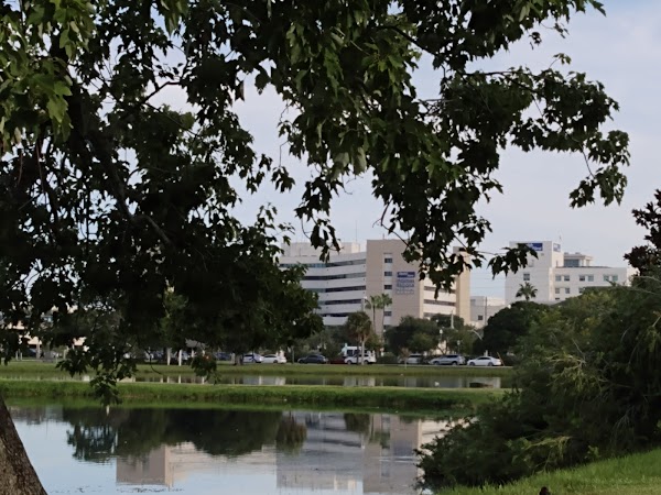 Representative image for Melbourne, Florida