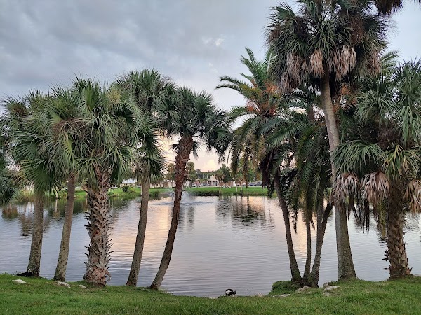 Representative image for New Port Richey, Florida