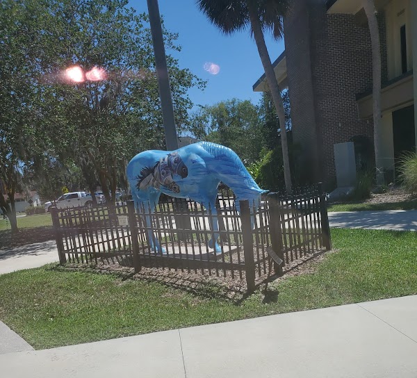 Representative image for Ocala, Florida