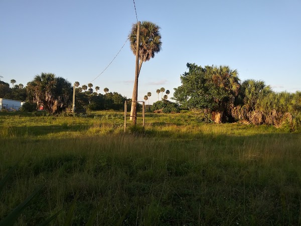 Representative image for Okeechobee, Florida