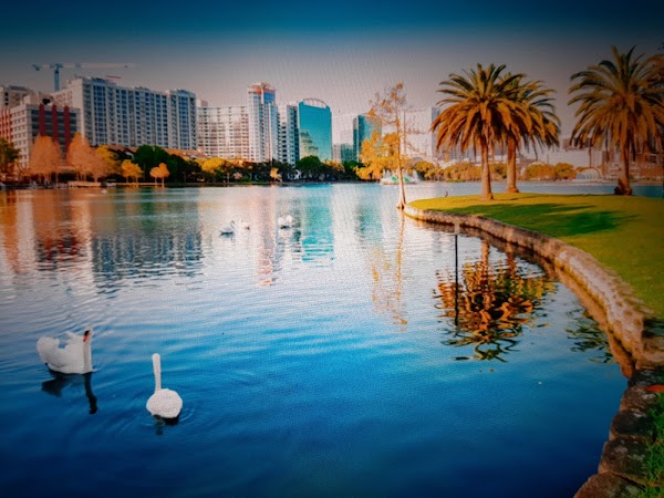Representative image for Orlando, Florida