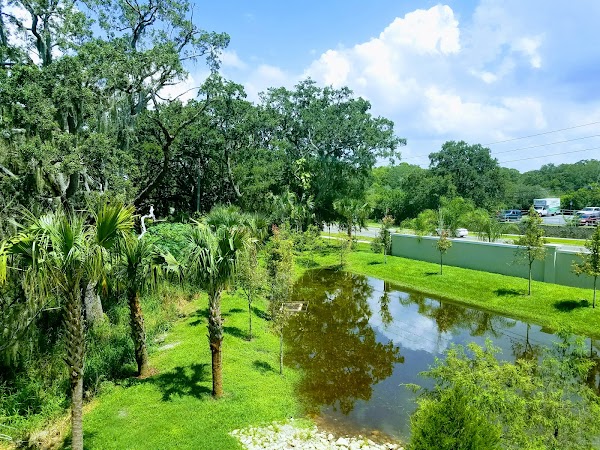Representative image for Palm Harbor, Florida