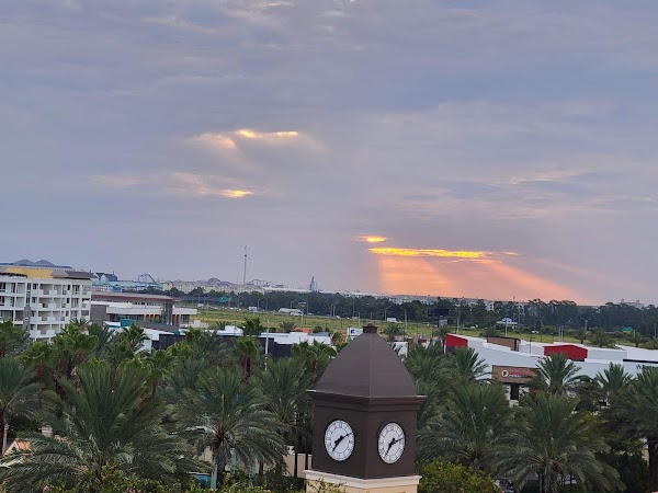 Representative image for Palm Springs, Florida