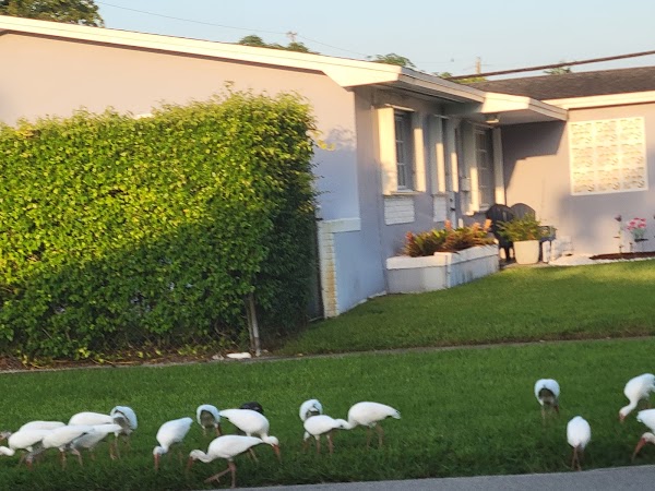 Representative image for Pembroke Pines, Florida