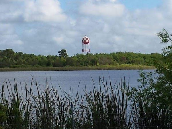 Representative image for Polk City, Florida
