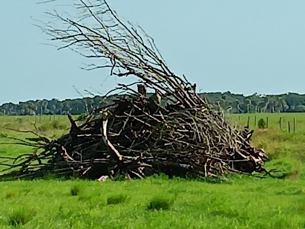 Representative image for Southwest Ranches, Florida