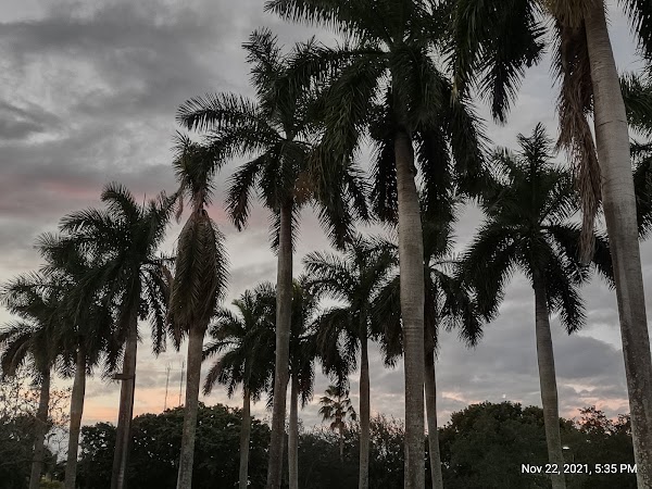 Representative image for Sunrise, Florida